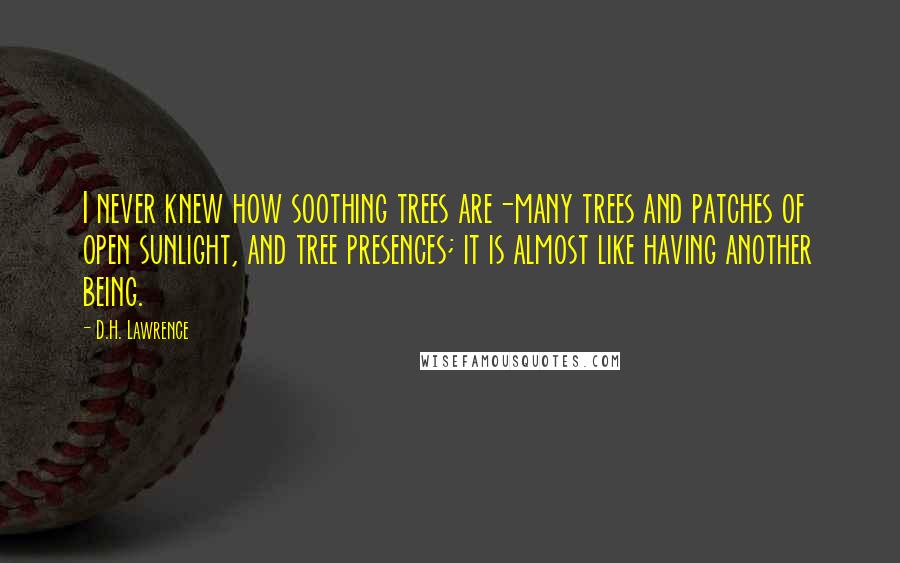 D.H. Lawrence Quotes: I never knew how soothing trees are-many trees and patches of open sunlight, and tree presences; it is almost like having another being.