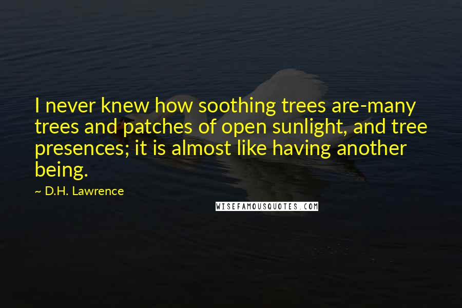 D.H. Lawrence Quotes: I never knew how soothing trees are-many trees and patches of open sunlight, and tree presences; it is almost like having another being.