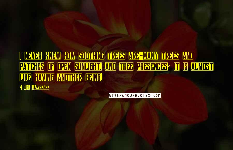 D.H. Lawrence Quotes: I never knew how soothing trees are-many trees and patches of open sunlight, and tree presences; it is almost like having another being.