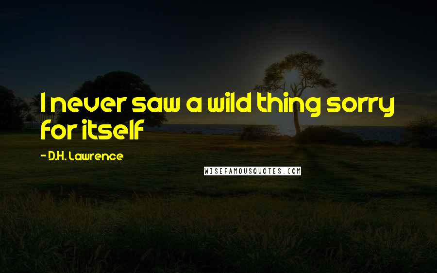 D.H. Lawrence Quotes: I never saw a wild thing sorry for itself