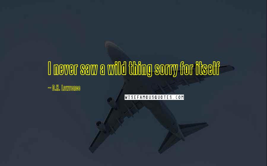 D.H. Lawrence Quotes: I never saw a wild thing sorry for itself
