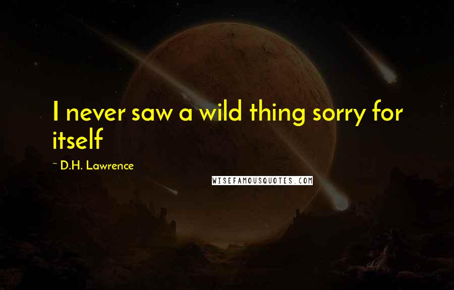 D.H. Lawrence Quotes: I never saw a wild thing sorry for itself