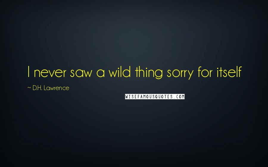 D.H. Lawrence Quotes: I never saw a wild thing sorry for itself