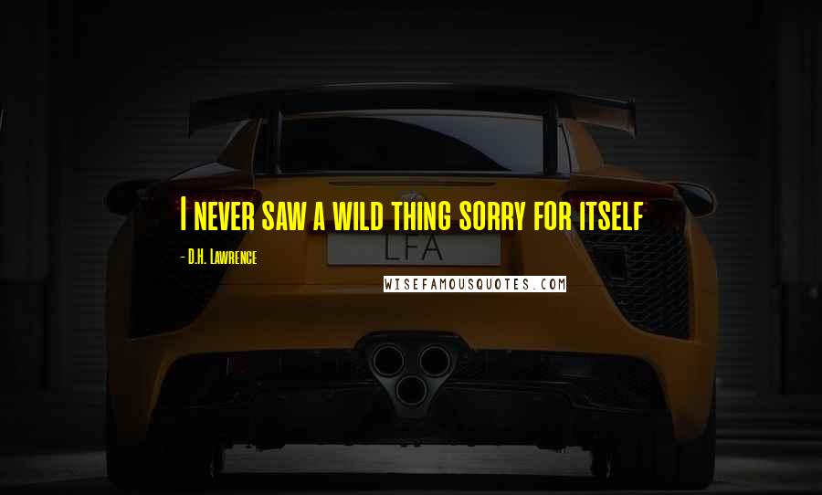 D.H. Lawrence Quotes: I never saw a wild thing sorry for itself