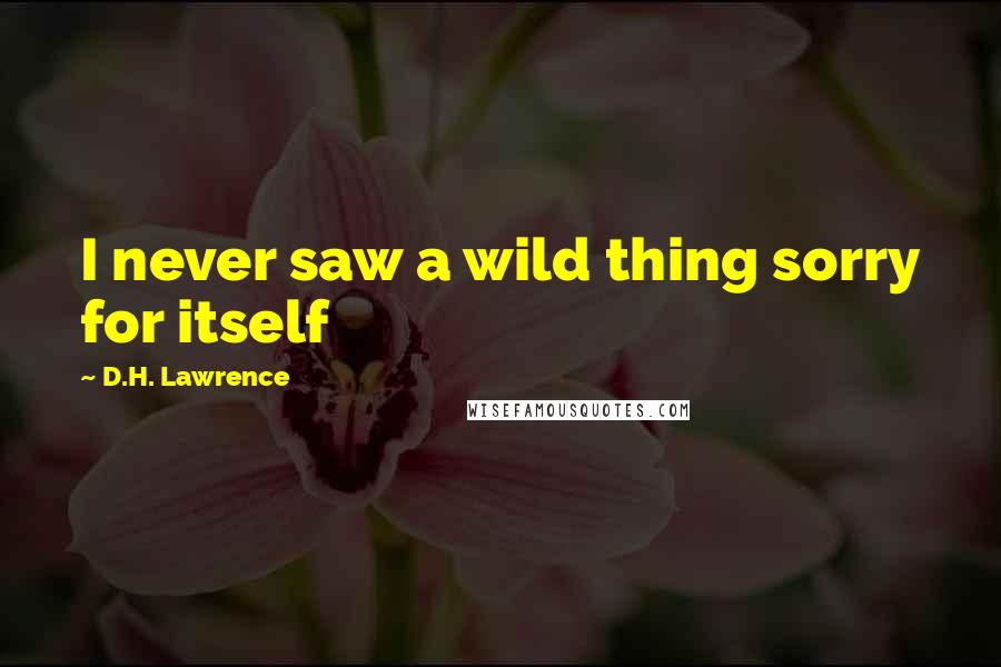 D.H. Lawrence Quotes: I never saw a wild thing sorry for itself