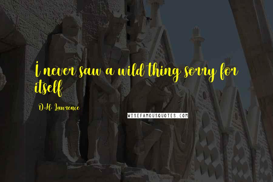 D.H. Lawrence Quotes: I never saw a wild thing sorry for itself