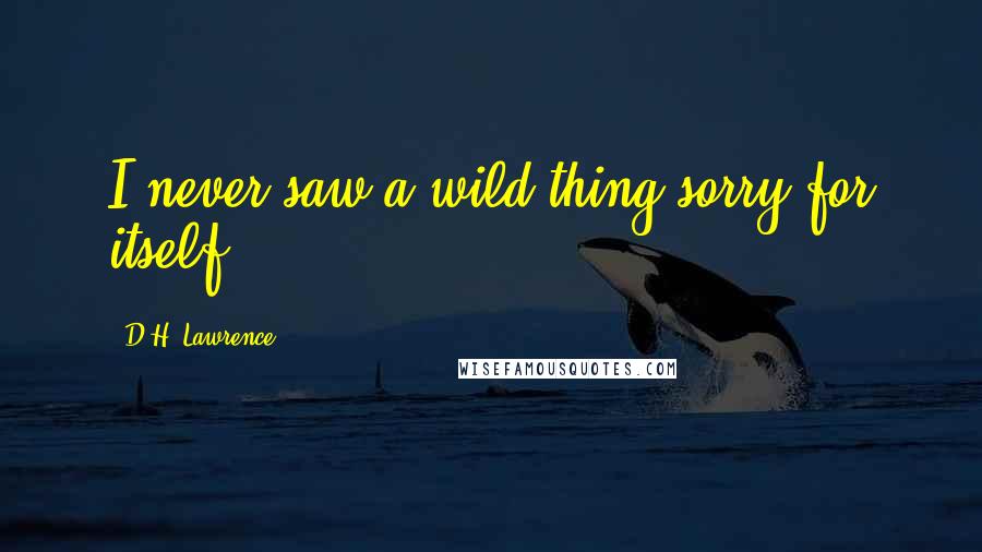 D.H. Lawrence Quotes: I never saw a wild thing sorry for itself