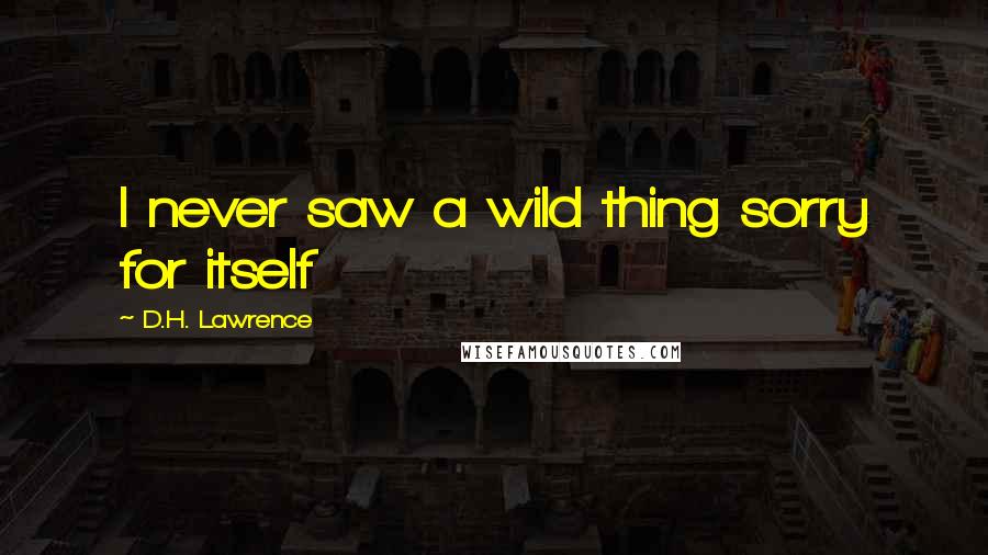 D.H. Lawrence Quotes: I never saw a wild thing sorry for itself