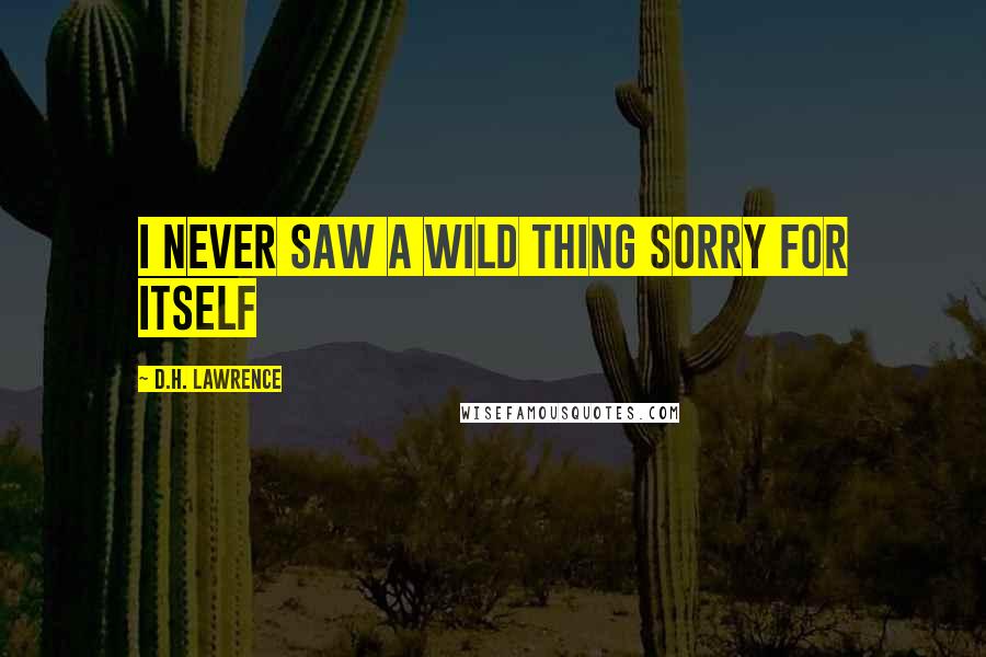 D.H. Lawrence Quotes: I never saw a wild thing sorry for itself