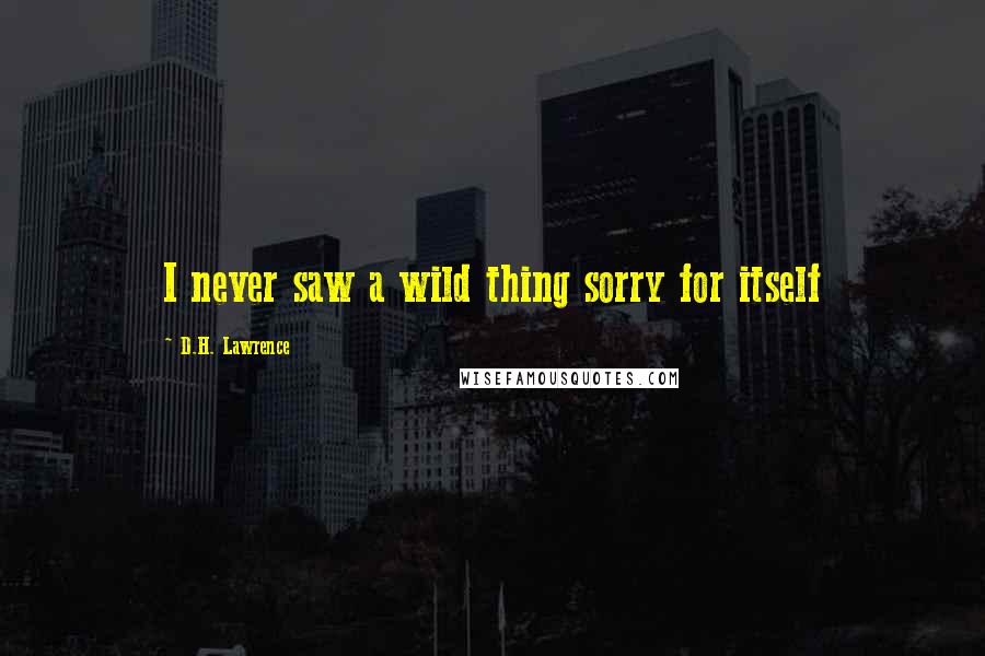 D.H. Lawrence Quotes: I never saw a wild thing sorry for itself