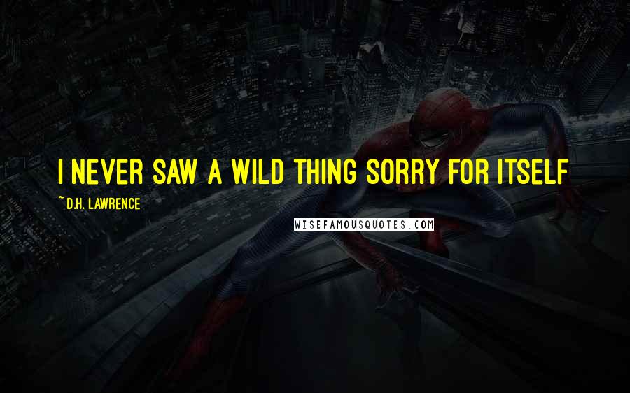 D.H. Lawrence Quotes: I never saw a wild thing sorry for itself