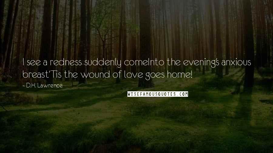 D.H. Lawrence Quotes: I see a redness suddenly comeInto the evening's anxious breast'Tis the wound of love goes home!