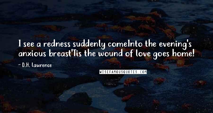 D.H. Lawrence Quotes: I see a redness suddenly comeInto the evening's anxious breast'Tis the wound of love goes home!