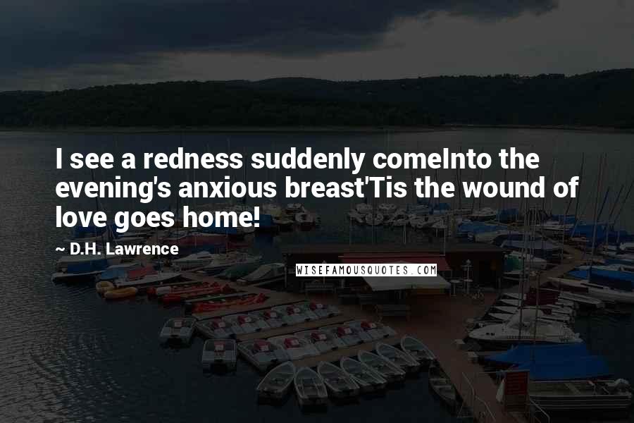 D.H. Lawrence Quotes: I see a redness suddenly comeInto the evening's anxious breast'Tis the wound of love goes home!