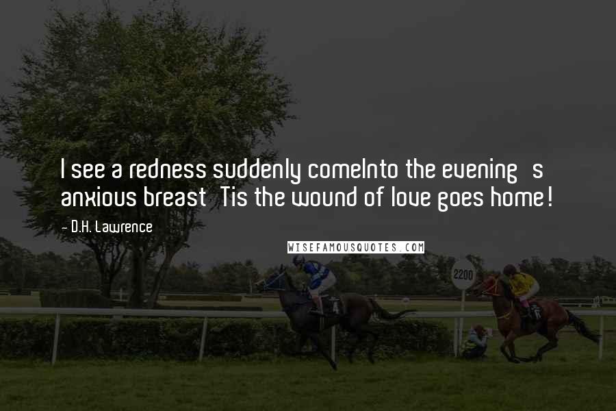 D.H. Lawrence Quotes: I see a redness suddenly comeInto the evening's anxious breast'Tis the wound of love goes home!