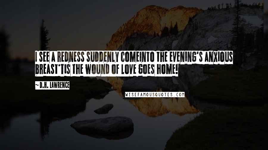 D.H. Lawrence Quotes: I see a redness suddenly comeInto the evening's anxious breast'Tis the wound of love goes home!