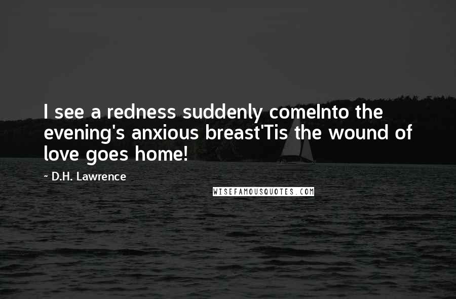 D.H. Lawrence Quotes: I see a redness suddenly comeInto the evening's anxious breast'Tis the wound of love goes home!