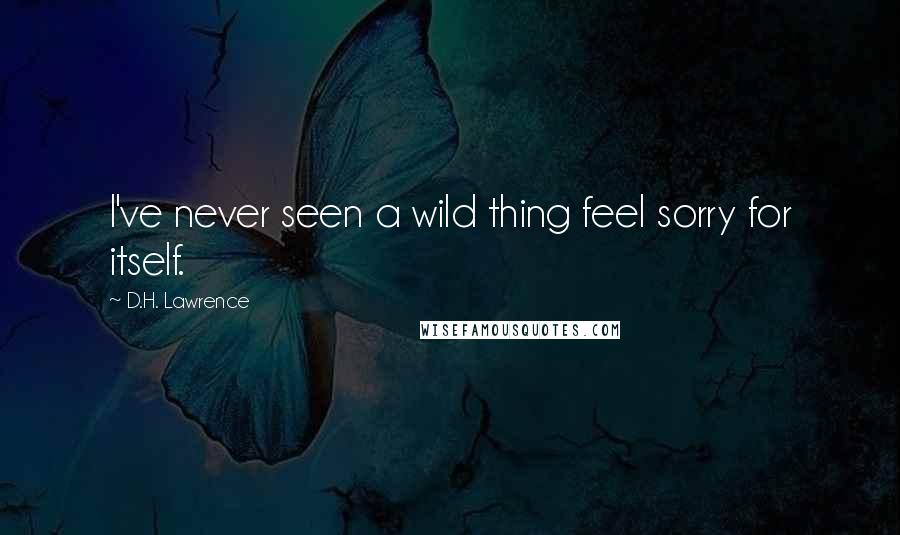 D.H. Lawrence Quotes: I've never seen a wild thing feel sorry for itself.