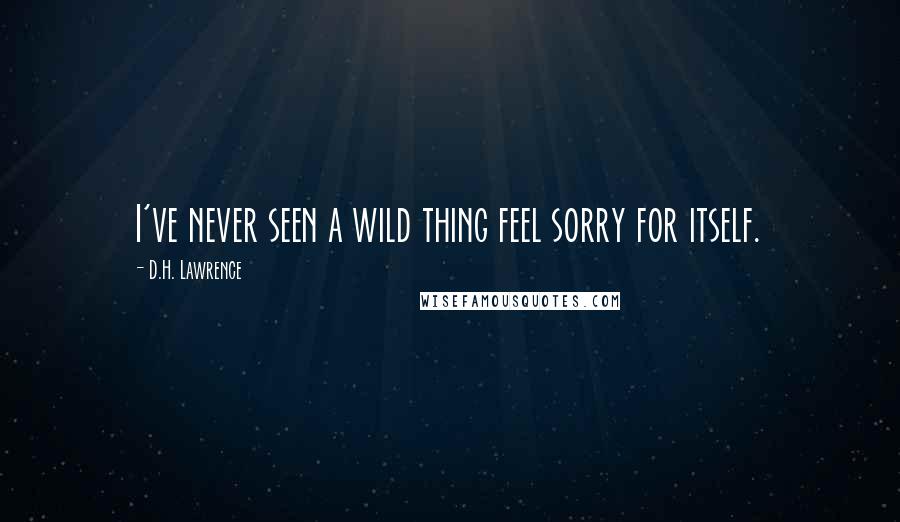 D.H. Lawrence Quotes: I've never seen a wild thing feel sorry for itself.