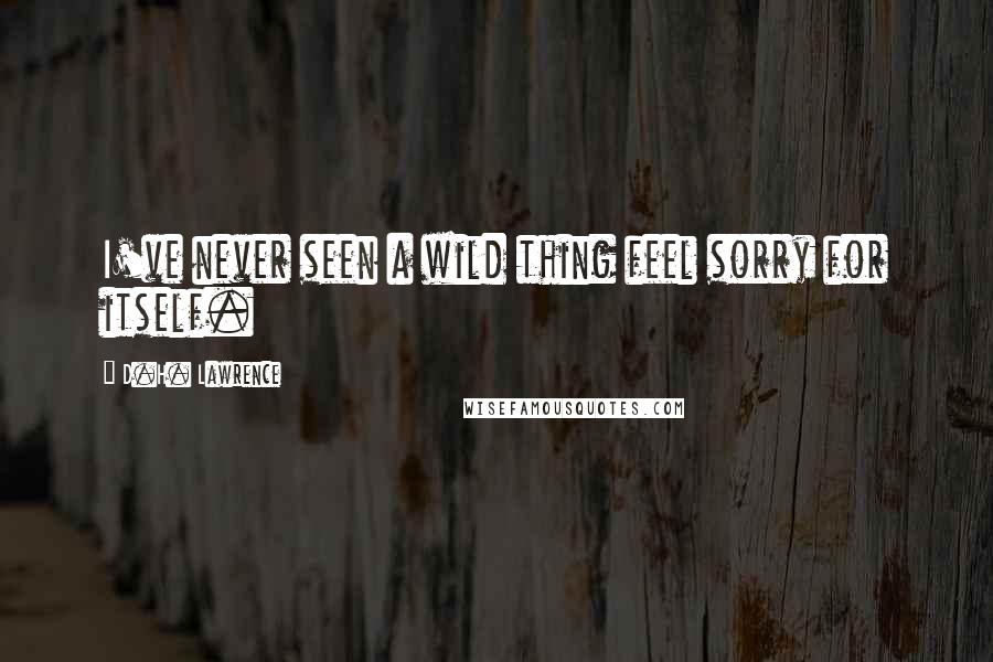 D.H. Lawrence Quotes: I've never seen a wild thing feel sorry for itself.
