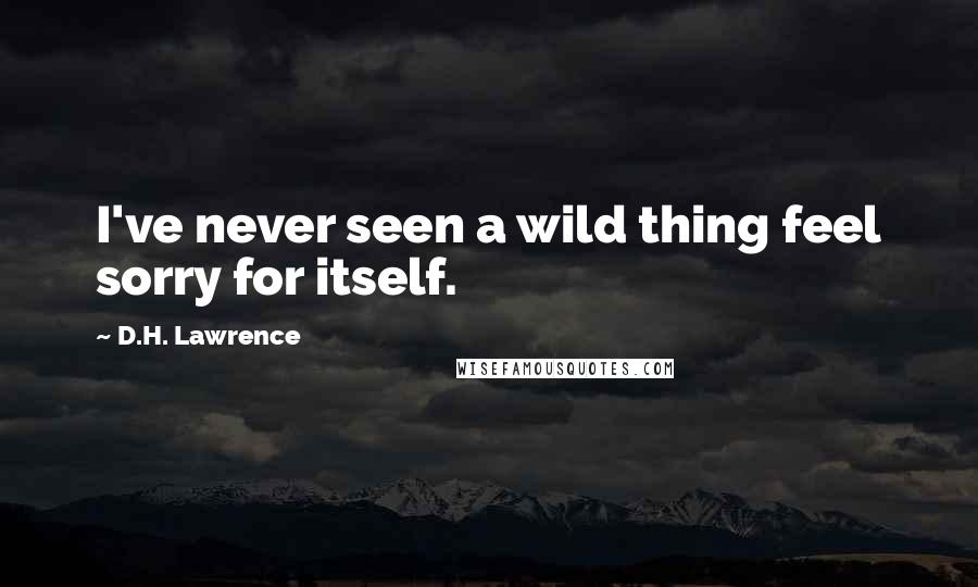 D.H. Lawrence Quotes: I've never seen a wild thing feel sorry for itself.