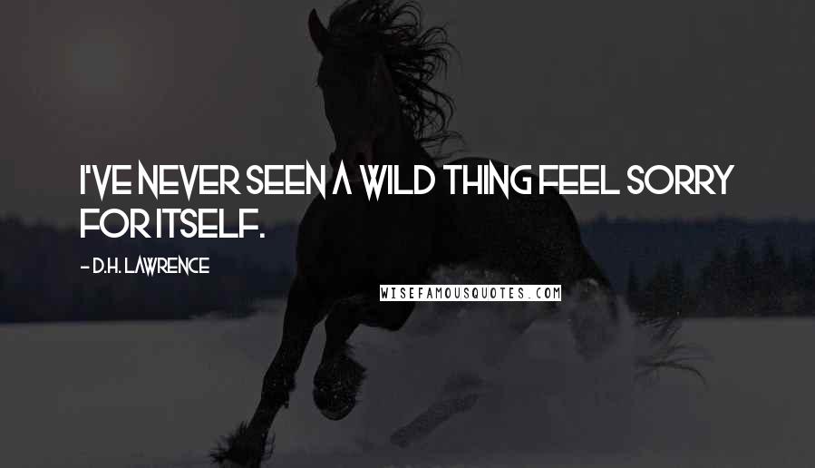 D.H. Lawrence Quotes: I've never seen a wild thing feel sorry for itself.
