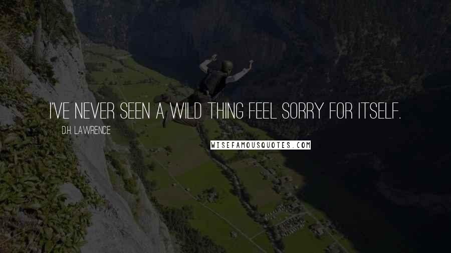 D.H. Lawrence Quotes: I've never seen a wild thing feel sorry for itself.