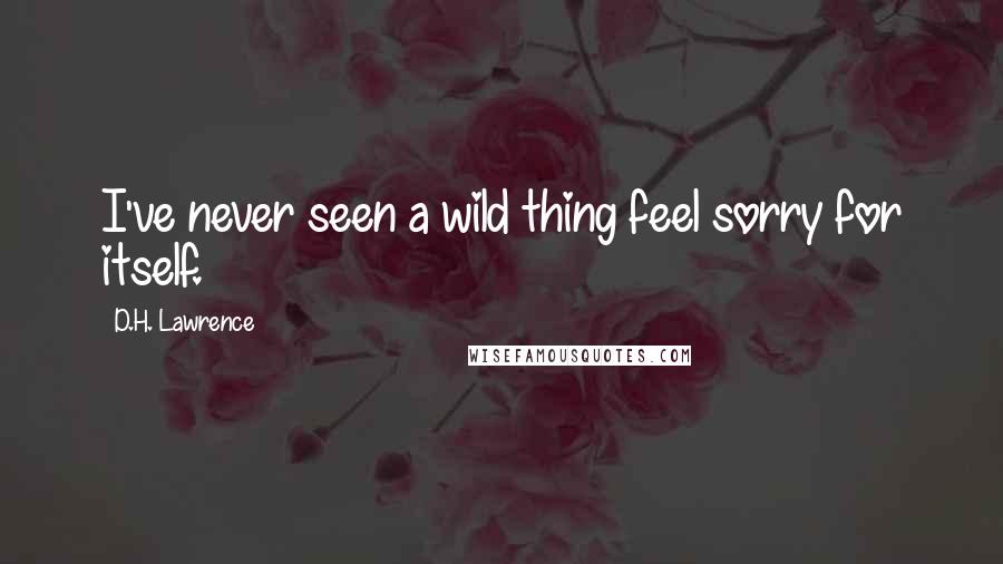 D.H. Lawrence Quotes: I've never seen a wild thing feel sorry for itself.