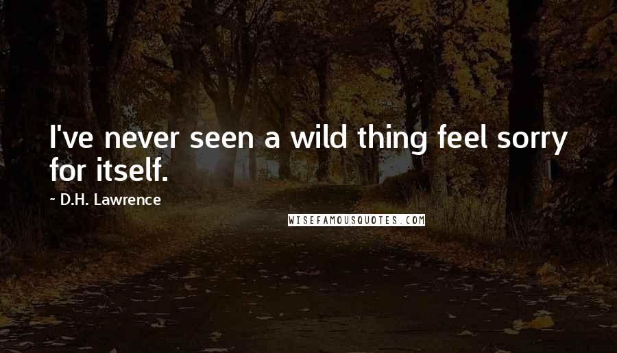 D.H. Lawrence Quotes: I've never seen a wild thing feel sorry for itself.