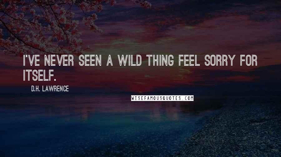D.H. Lawrence Quotes: I've never seen a wild thing feel sorry for itself.