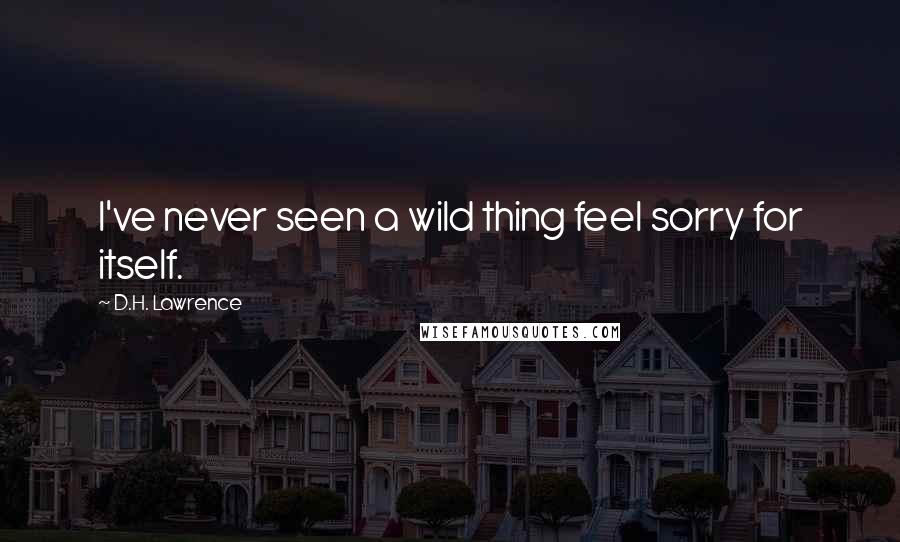 D.H. Lawrence Quotes: I've never seen a wild thing feel sorry for itself.
