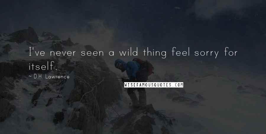 D.H. Lawrence Quotes: I've never seen a wild thing feel sorry for itself.