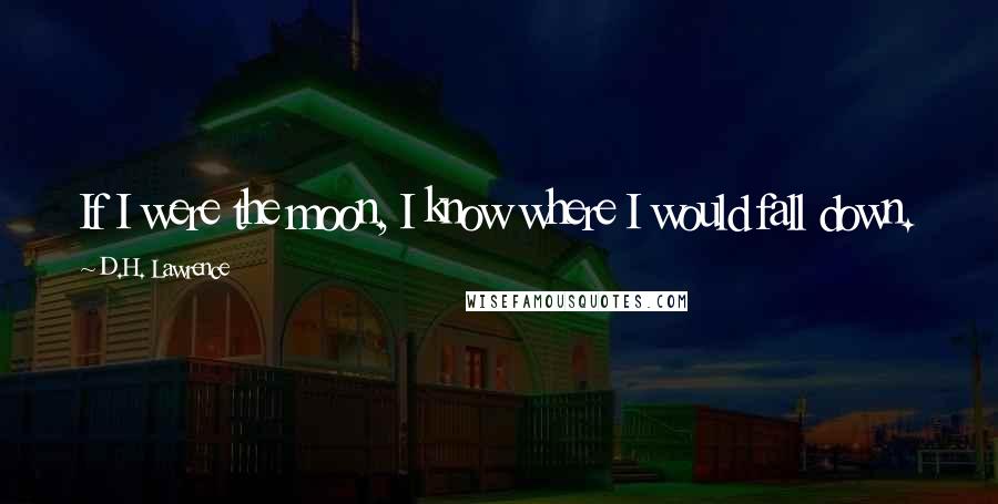D.H. Lawrence Quotes: If I were the moon, I know where I would fall down.