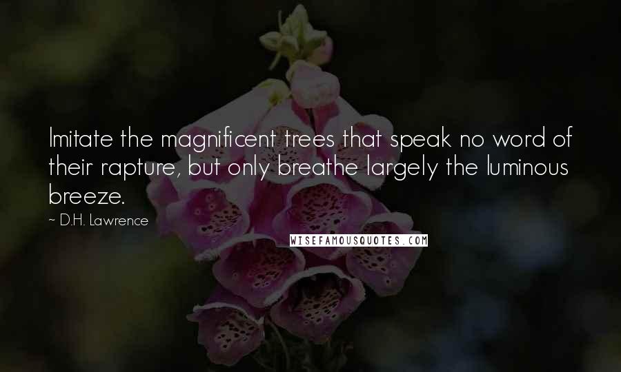 D.H. Lawrence Quotes: Imitate the magnificent trees that speak no word of their rapture, but only breathe largely the luminous breeze.