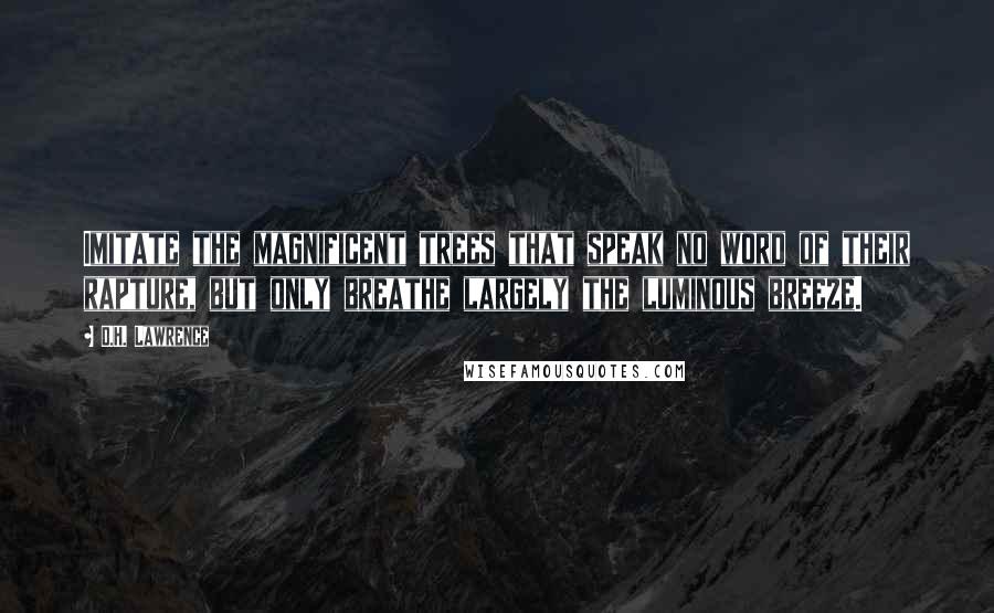 D.H. Lawrence Quotes: Imitate the magnificent trees that speak no word of their rapture, but only breathe largely the luminous breeze.