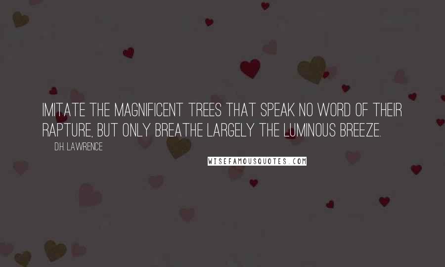 D.H. Lawrence Quotes: Imitate the magnificent trees that speak no word of their rapture, but only breathe largely the luminous breeze.