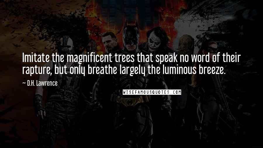 D.H. Lawrence Quotes: Imitate the magnificent trees that speak no word of their rapture, but only breathe largely the luminous breeze.