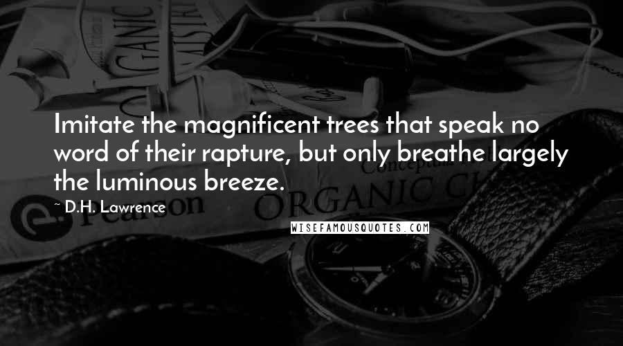 D.H. Lawrence Quotes: Imitate the magnificent trees that speak no word of their rapture, but only breathe largely the luminous breeze.