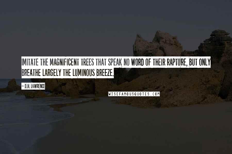 D.H. Lawrence Quotes: Imitate the magnificent trees that speak no word of their rapture, but only breathe largely the luminous breeze.