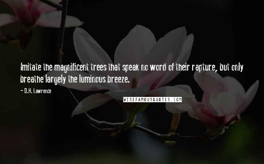 D.H. Lawrence Quotes: Imitate the magnificent trees that speak no word of their rapture, but only breathe largely the luminous breeze.