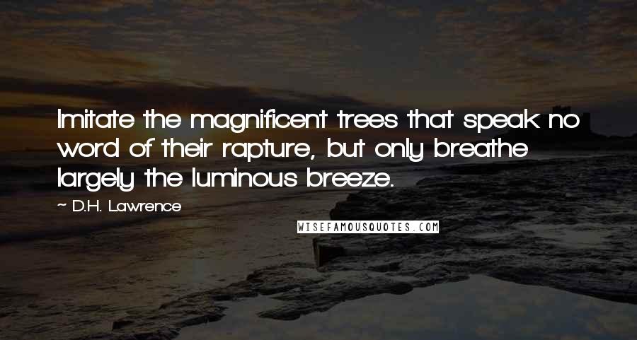 D.H. Lawrence Quotes: Imitate the magnificent trees that speak no word of their rapture, but only breathe largely the luminous breeze.