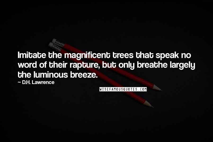 D.H. Lawrence Quotes: Imitate the magnificent trees that speak no word of their rapture, but only breathe largely the luminous breeze.