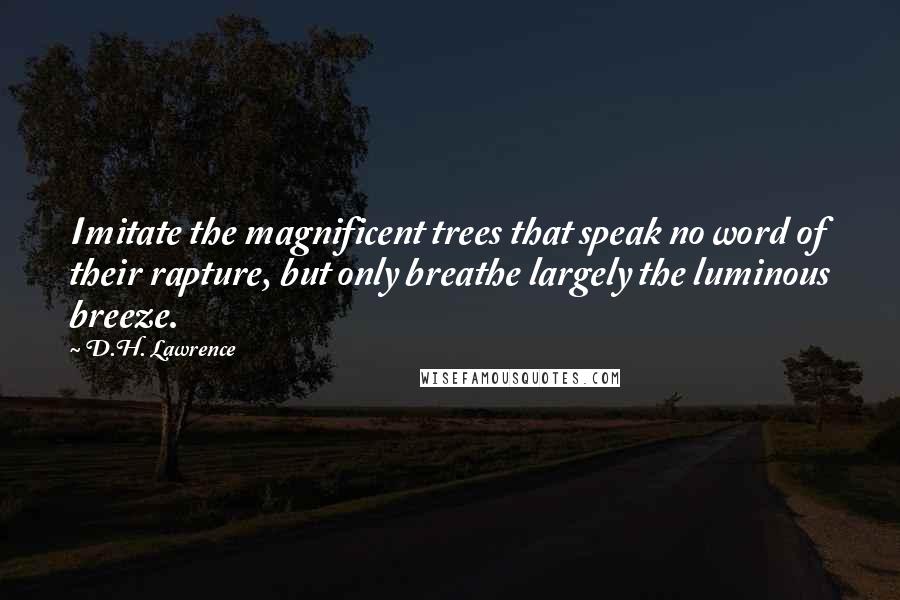 D.H. Lawrence Quotes: Imitate the magnificent trees that speak no word of their rapture, but only breathe largely the luminous breeze.