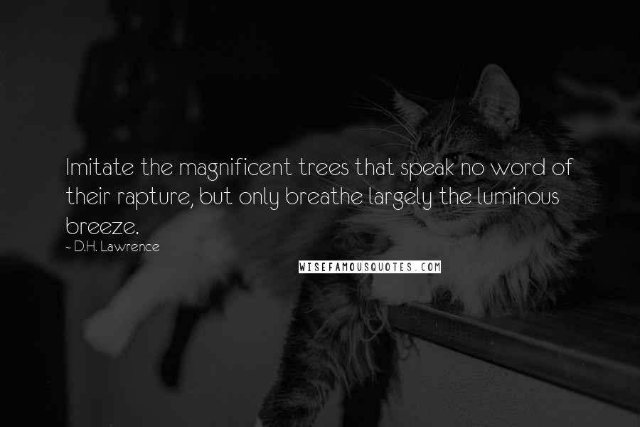 D.H. Lawrence Quotes: Imitate the magnificent trees that speak no word of their rapture, but only breathe largely the luminous breeze.