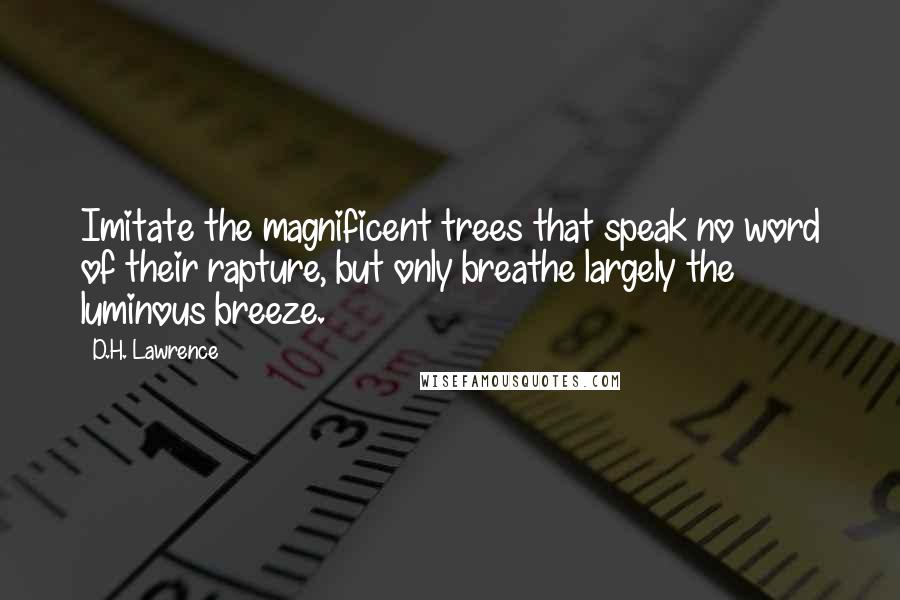 D.H. Lawrence Quotes: Imitate the magnificent trees that speak no word of their rapture, but only breathe largely the luminous breeze.