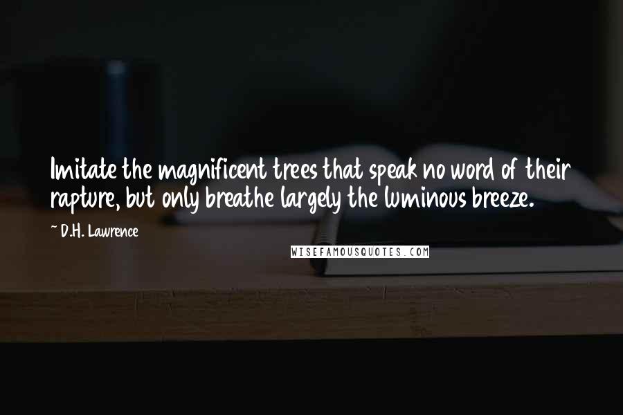 D.H. Lawrence Quotes: Imitate the magnificent trees that speak no word of their rapture, but only breathe largely the luminous breeze.
