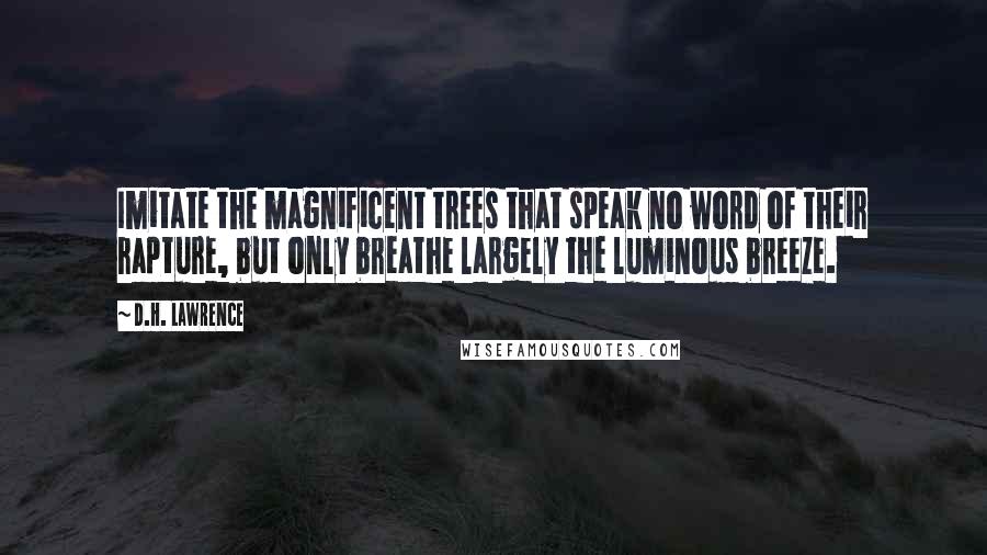 D.H. Lawrence Quotes: Imitate the magnificent trees that speak no word of their rapture, but only breathe largely the luminous breeze.