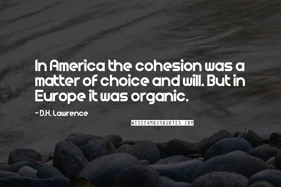 D.H. Lawrence Quotes: In America the cohesion was a matter of choice and will. But in Europe it was organic.