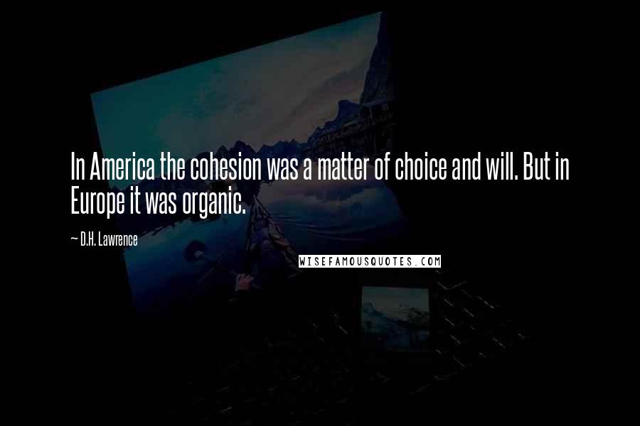 D.H. Lawrence Quotes: In America the cohesion was a matter of choice and will. But in Europe it was organic.