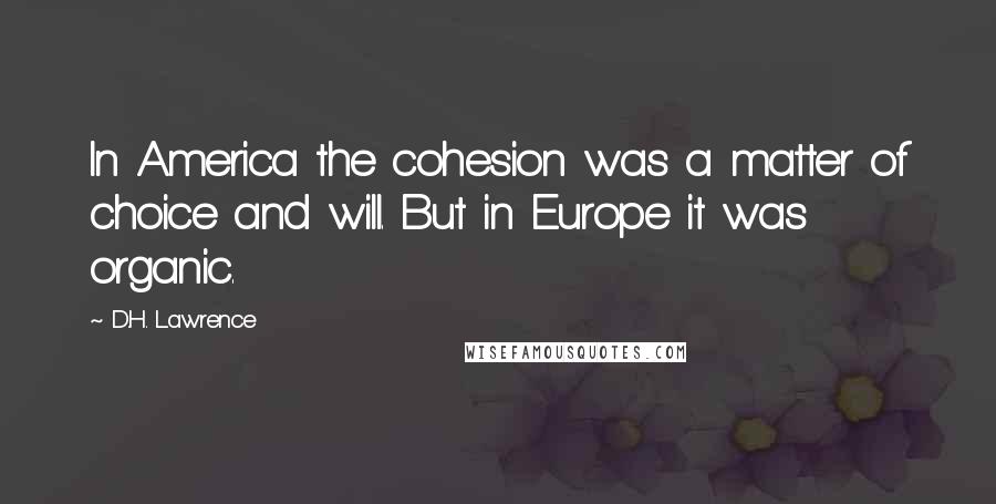 D.H. Lawrence Quotes: In America the cohesion was a matter of choice and will. But in Europe it was organic.